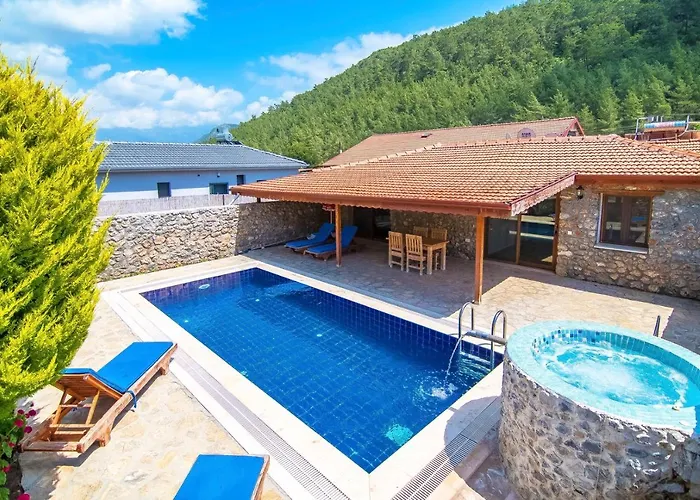 2+1 Ic Ve Dis Jakuzili Villa